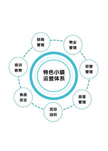 專訪光合文化創(chuàng)意集團董事長趙興朋 特色小鎮(zhèn)是個有機生命體，數(shù)字文化創(chuàng)意內容的應用與服務