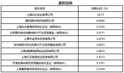 上海信息技術(shù)服務(wù)公司技術(shù)轉(zhuǎn)讓項目分析（編號 911209）